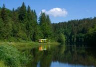 waldbahn entlang des Regen