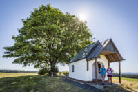 Hl Dreifaltigkeitsber mit Kapelle und Birnbeiml Muglhof Quelle Tourist Information Stadt Weiden i d O Pf Thomas Kujat