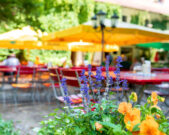 Biergarten Blumen