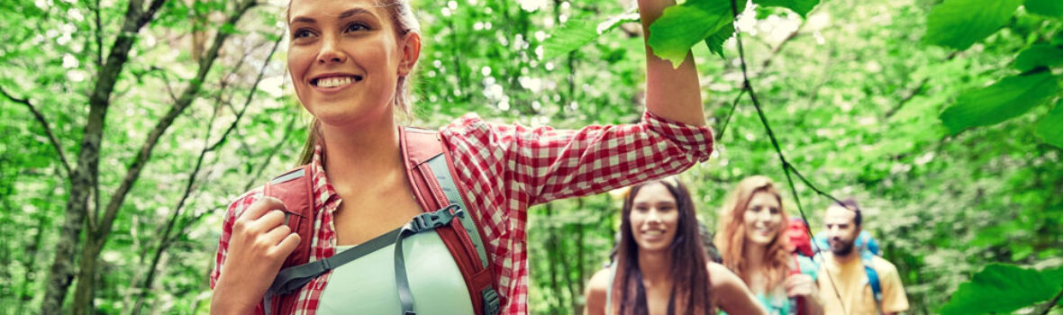 Wanderer im Wald