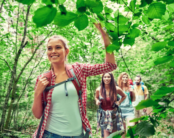 Wanderer im Wald