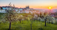 Prague Panorama Petrin Hill