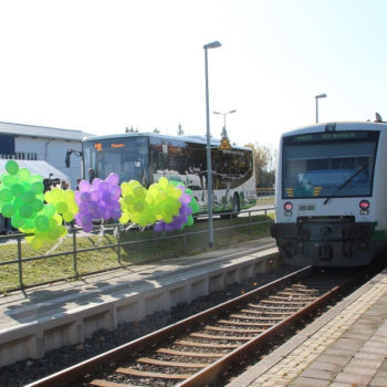 Bus 5 Mi Zvv Web