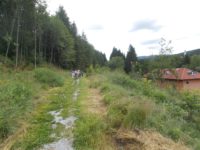 Am Sonntag 9. Juli Flusswanderung am Regen im Nationalparkgebiet Bayerischer Wald in wunderschöner Umgebung und mit kulinarischen Bio-Genüssen im "Haus zur Wildnis"