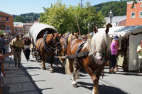 Mit der waldbahn auf's Grafenauer Säumerfest