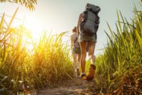 Wanderungen neben der Strecke der oberpfalzbahn