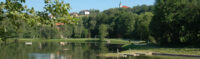 Arrach header