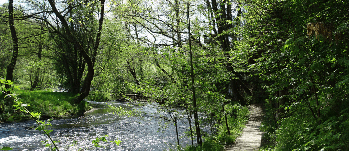Rundweg Greifvogelpark am Wasser
