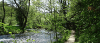 Rundweg Greifvogelpark am Wasser