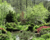 Rundweg Greifvogelpark