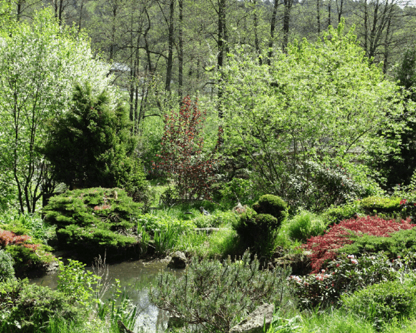 Rundweg Greifvogelpark
