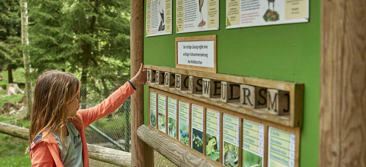 Mädchen im Bayerwald-Tierpark Lohberg an der Tierraetsel station