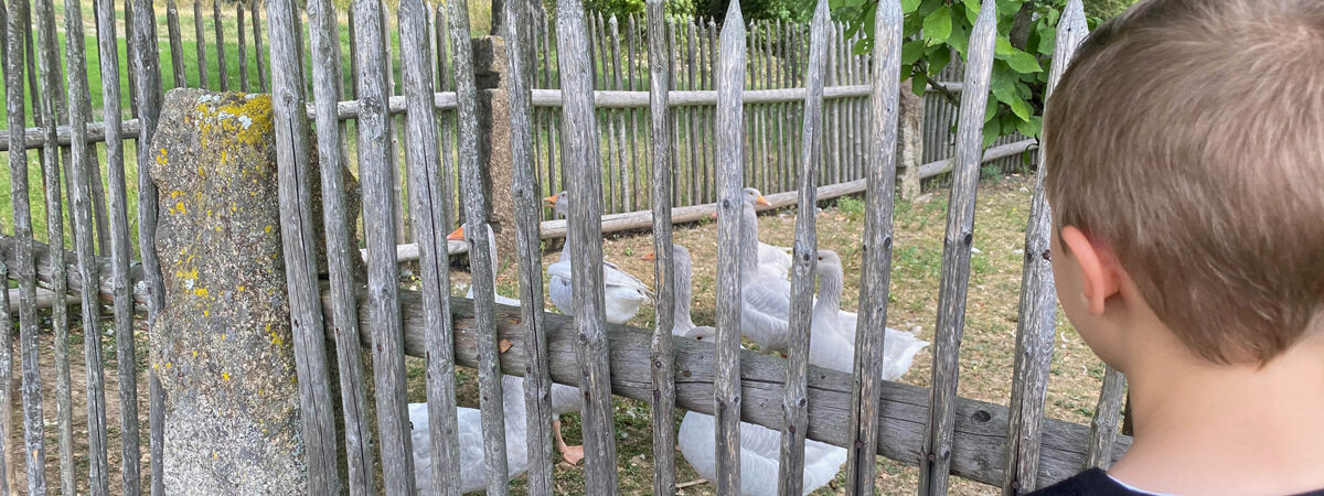 Nabburg freilandmuseum gaense