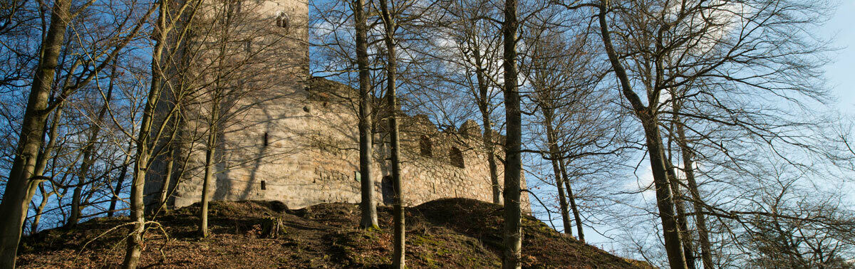 Blick hangaufwärts auf die Burgruine Stockenfels durch die unbelaubten Bäume