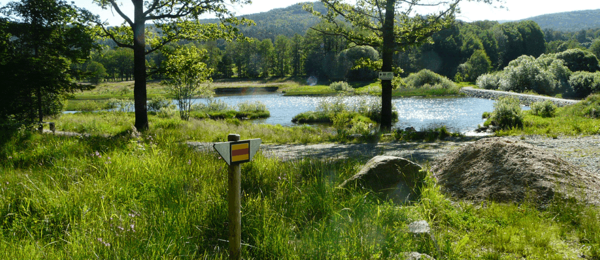 Perlsee Wanderweg I Tourismusgemeinschaft Waldmuenchner Urlaubsland