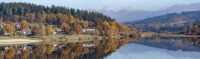Waldmuenchen header