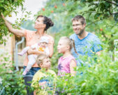 Wiesau umweltstation garten oberpfaaelzer wald landkreis tirschenreuth