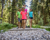 Wiesau waldnaabaue fusspfad oberpfaelzer wald thomas kujat