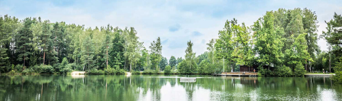 Wiesauer Waldseen Foto Oberpfaelzer Wald Thomas Kujat