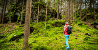 Eine Wanderin ist von hinten zu sehen. Sie steht an einem steilen Stück bemoosten Waldes und sieht nach oben. Im Hintergrund sind Felsformationen zu sehen.