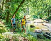 Wandern durch das Waldnaabtal Foto Oberpfaelzer Wald Thomas Kujat