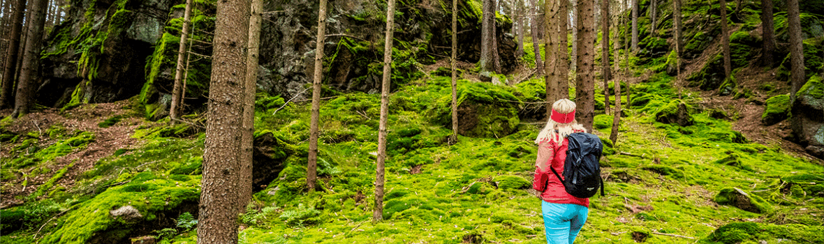 Waldnaabtal Foto Oberpfaelzer Wald Thomas Kujat