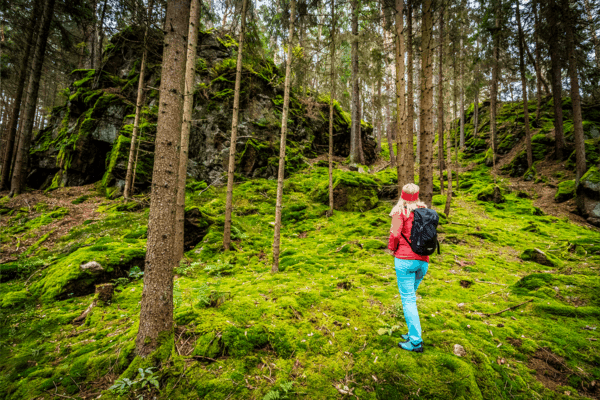 Waldnaabtal Foto Oberpfaelzer Wald Thomas Kujat