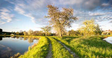 8. Teichlandschaft und Zoiglbier