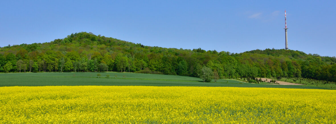 Blick auf zwei begrünte Berge, im Vordergrund ein gelbes Rapsfeld