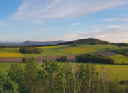 Weitsicht über grüne, hügelige Landschaft