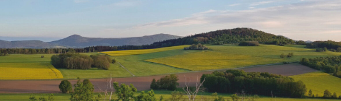 Weitsicht über grüne, hügelige Landschaft