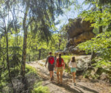 Eine vierköpfige Familie wandert bei Sonnenschein durch das Zittauer Gebirge.