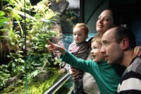 Trilex Ausflug Senckenbergmuseum Goerlitz Familie Vivarium