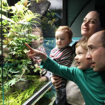 Trilex Ausflug Senckenbergmuseum Goerlitz Familie Vivarium