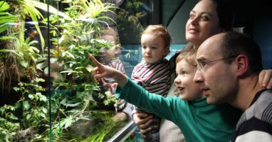Trilex Ausflug Senckenbergmuseum Goerlitz Familie Vivarium Senckenberg Museum für Naturkunde Görlitz
