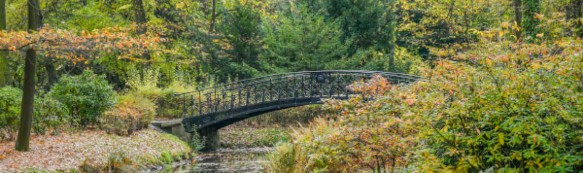 Trilex Ausflug Wroclaw outdoor botanischer garten