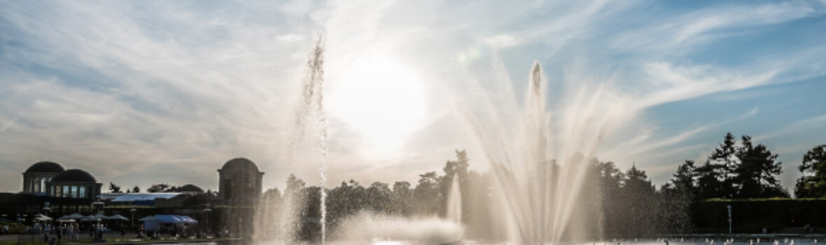 Trilex ausflug wroclaw freizeit wroclaw fountain