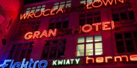 Trilex ausflug wroclaw studies neon side