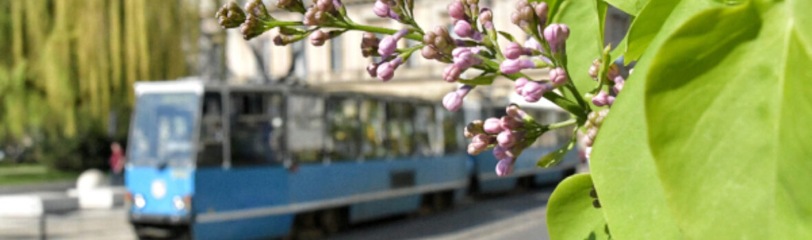 Trilex ausflug wroclaw oepnv tram