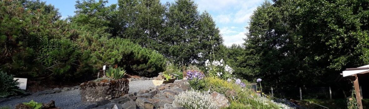 Adorf Botanischer Garten Stadt Adorf 1
