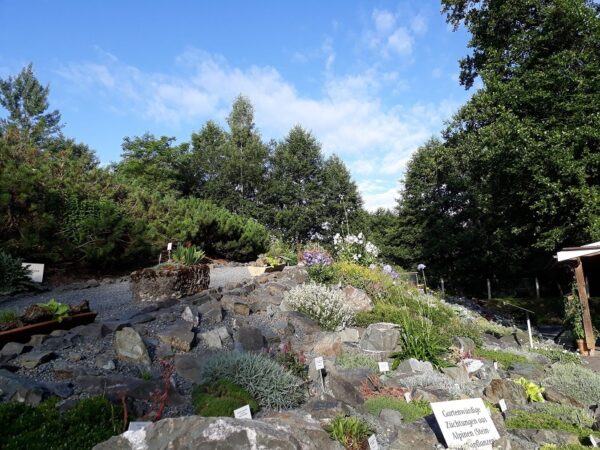 Adorf Botanischer Garten Stadt Adorf 1
