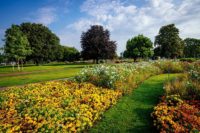 Blühstreifen im egapark