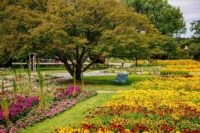 Verweilen im Blumenmeer im egapark