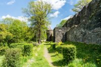 Ruine Elsterberg