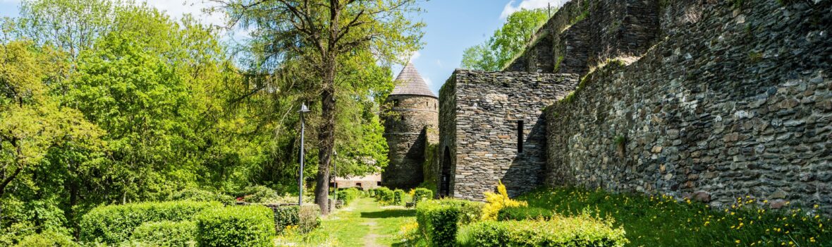 Adobe Stock 83079443 Elsterberg Ruine Animaflora Pics Stock min
