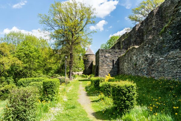 Adobe Stock 83079443 Elsterberg Ruine Animaflora Pics Stock min