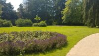 blühendes Blumenbeet im Greizer Park