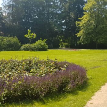 blühendes Blumenbeet im Greizer Park