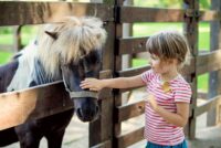 Kind mit Pony