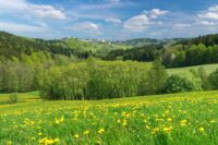 Blick auf Schöneck